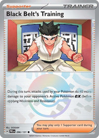 Black Belt's Training (Poke Ball Pattern)