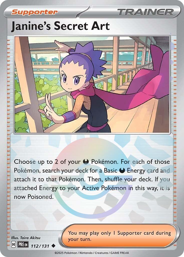 Janine's Secret Art (Poke Ball Pattern)