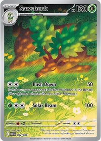 Sawsbuck