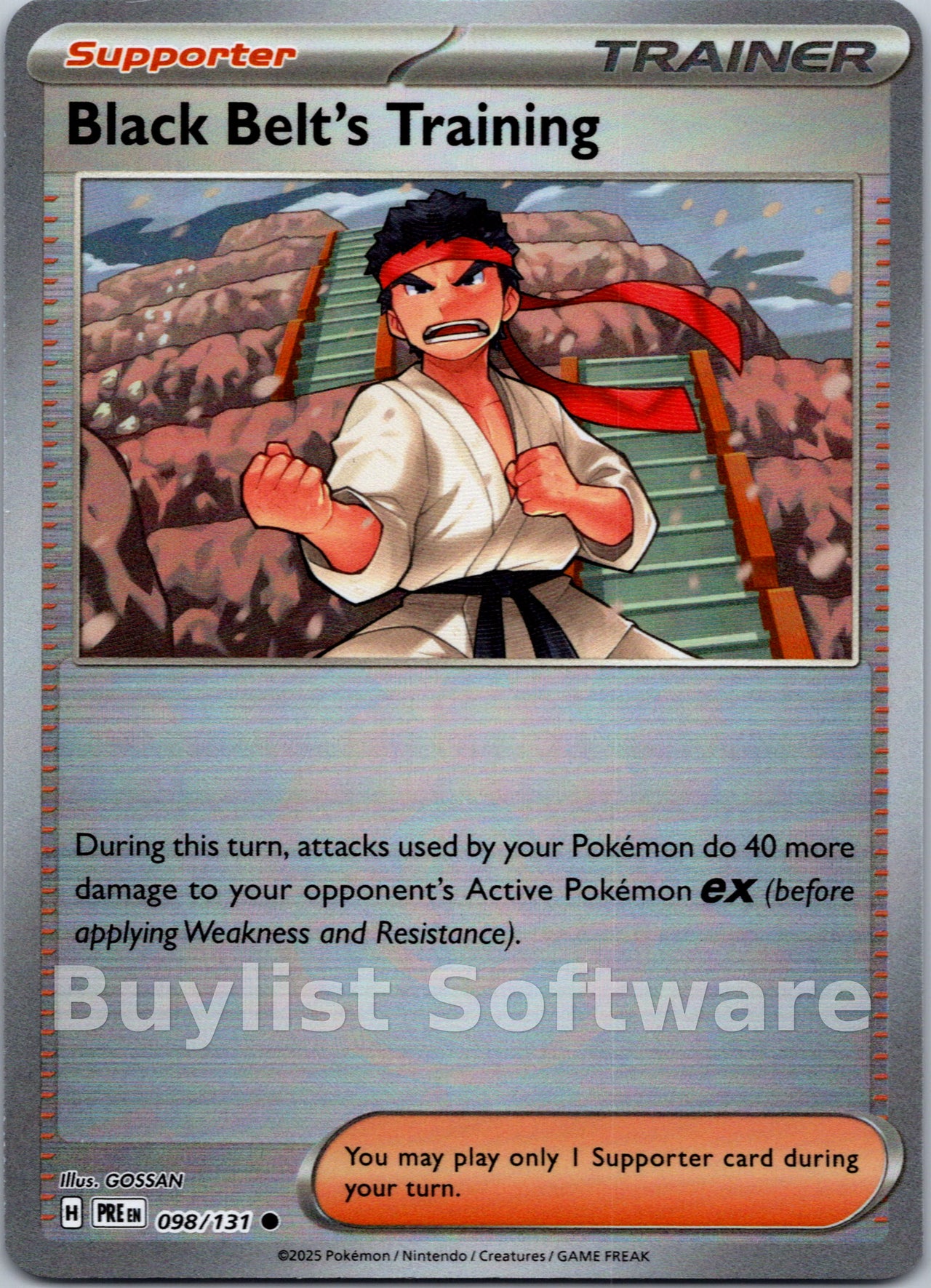 Black Belt's Training (Poke Ball Pattern)