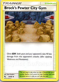 Brock's Pewter City Gym
