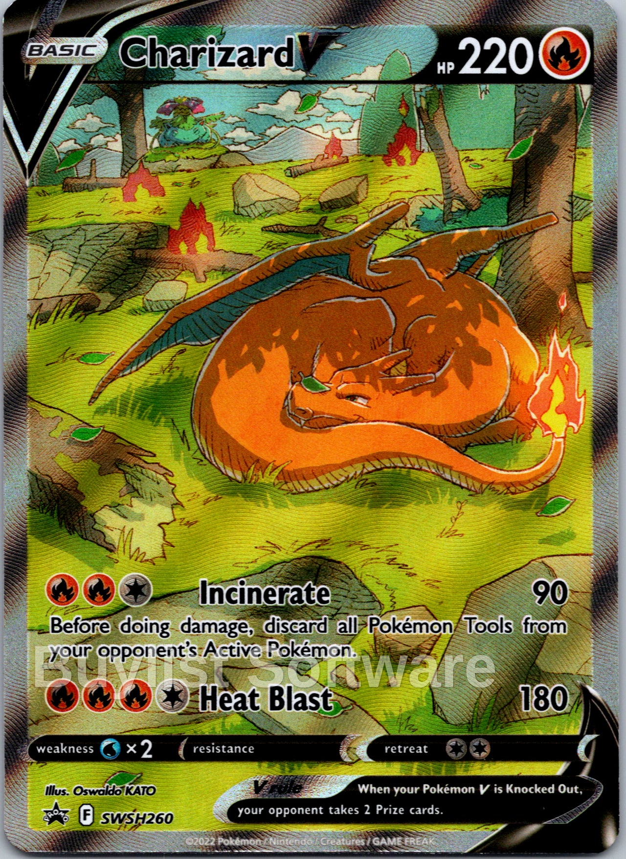 Charizard V