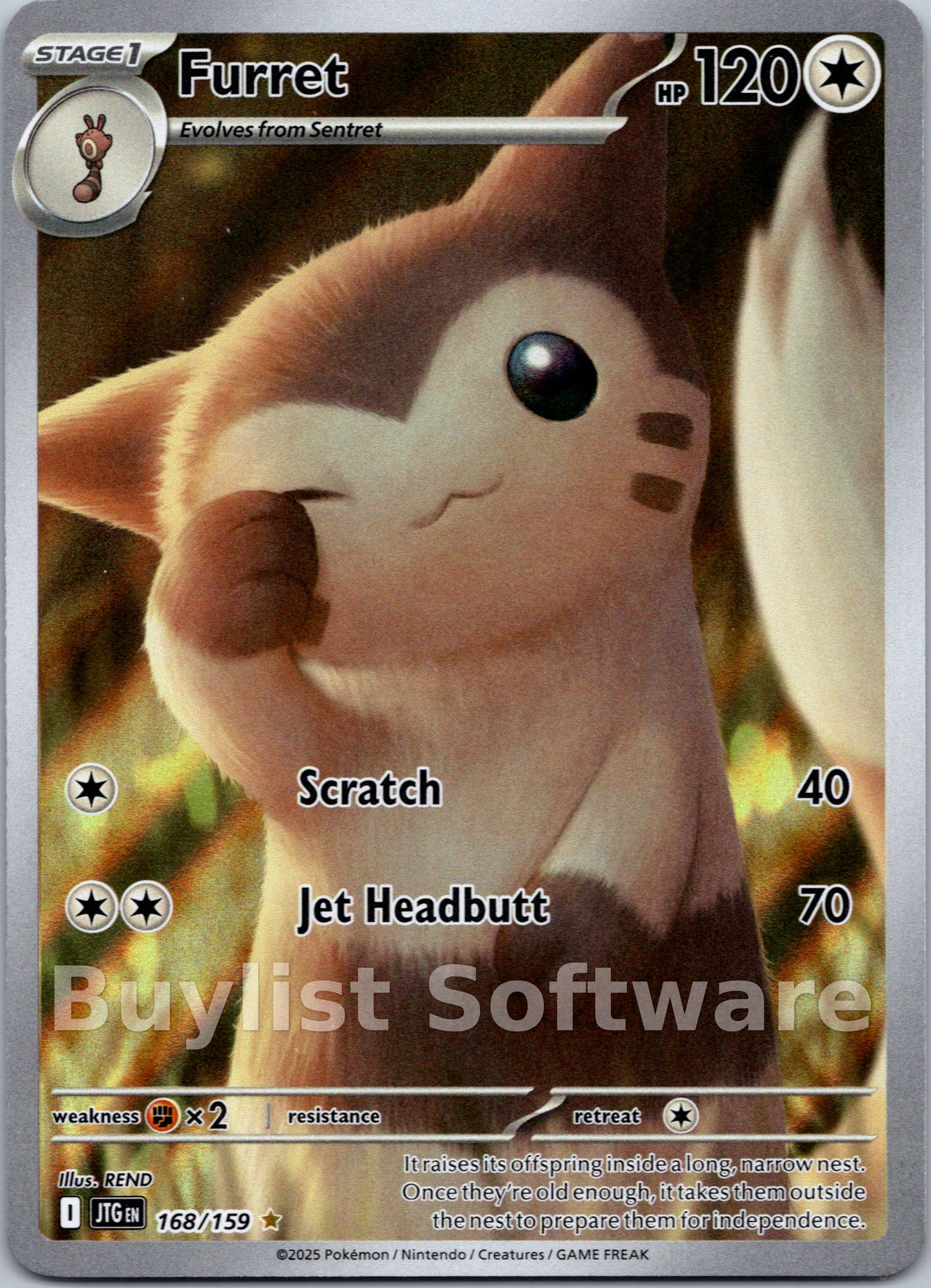 Furret
