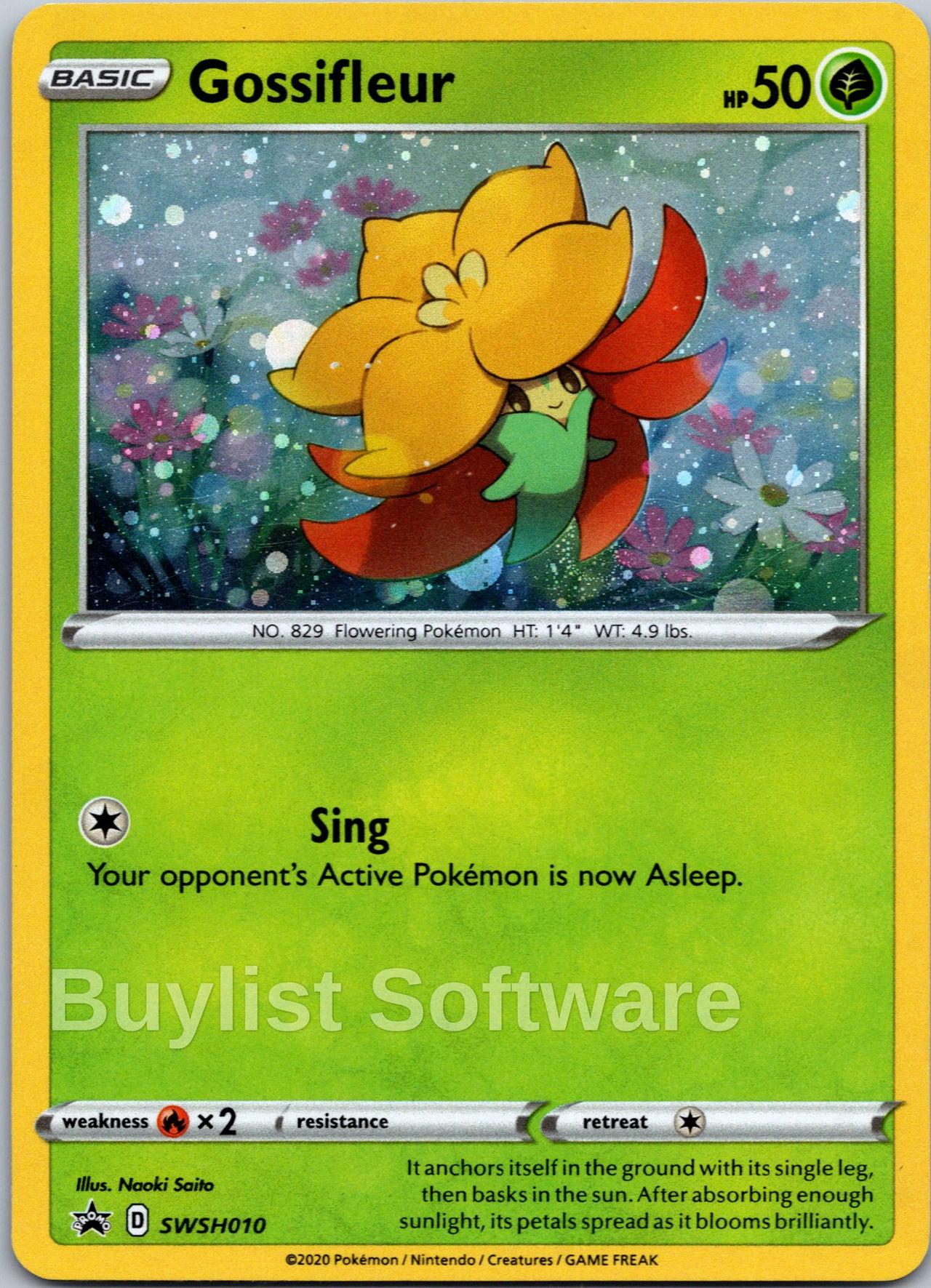 Gossifleur