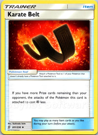 Karate Belt