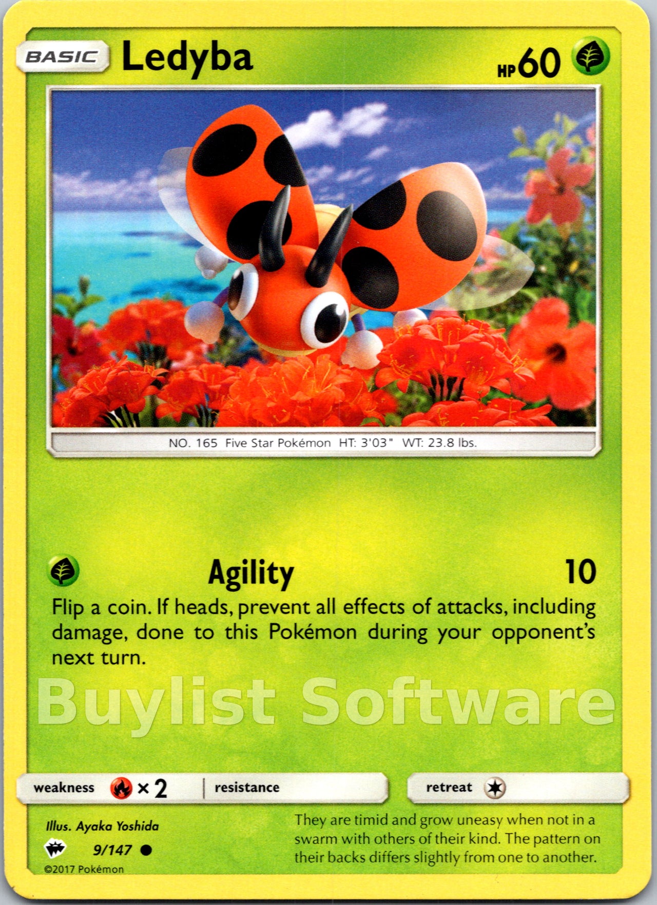 Ledyba