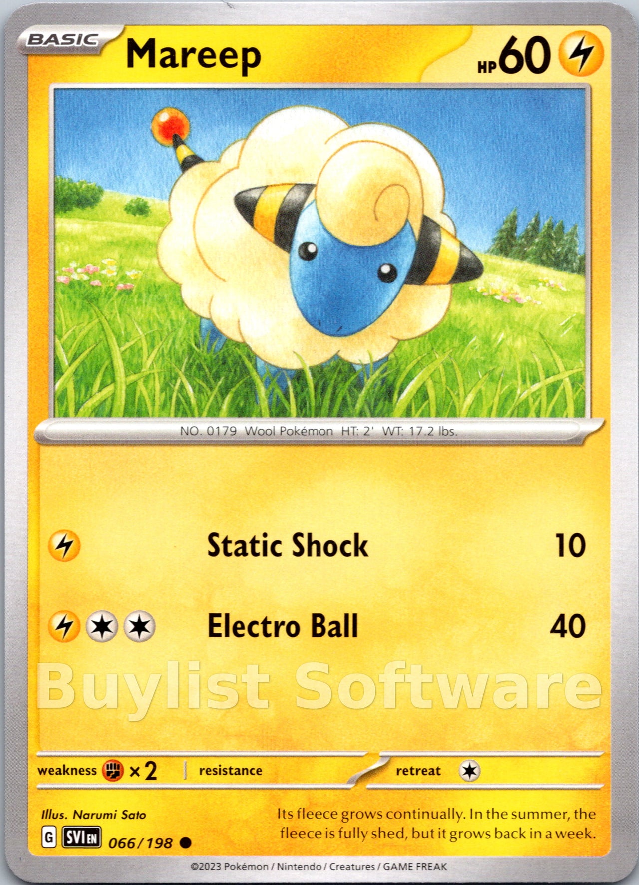 Mareep