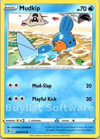 Mudkip