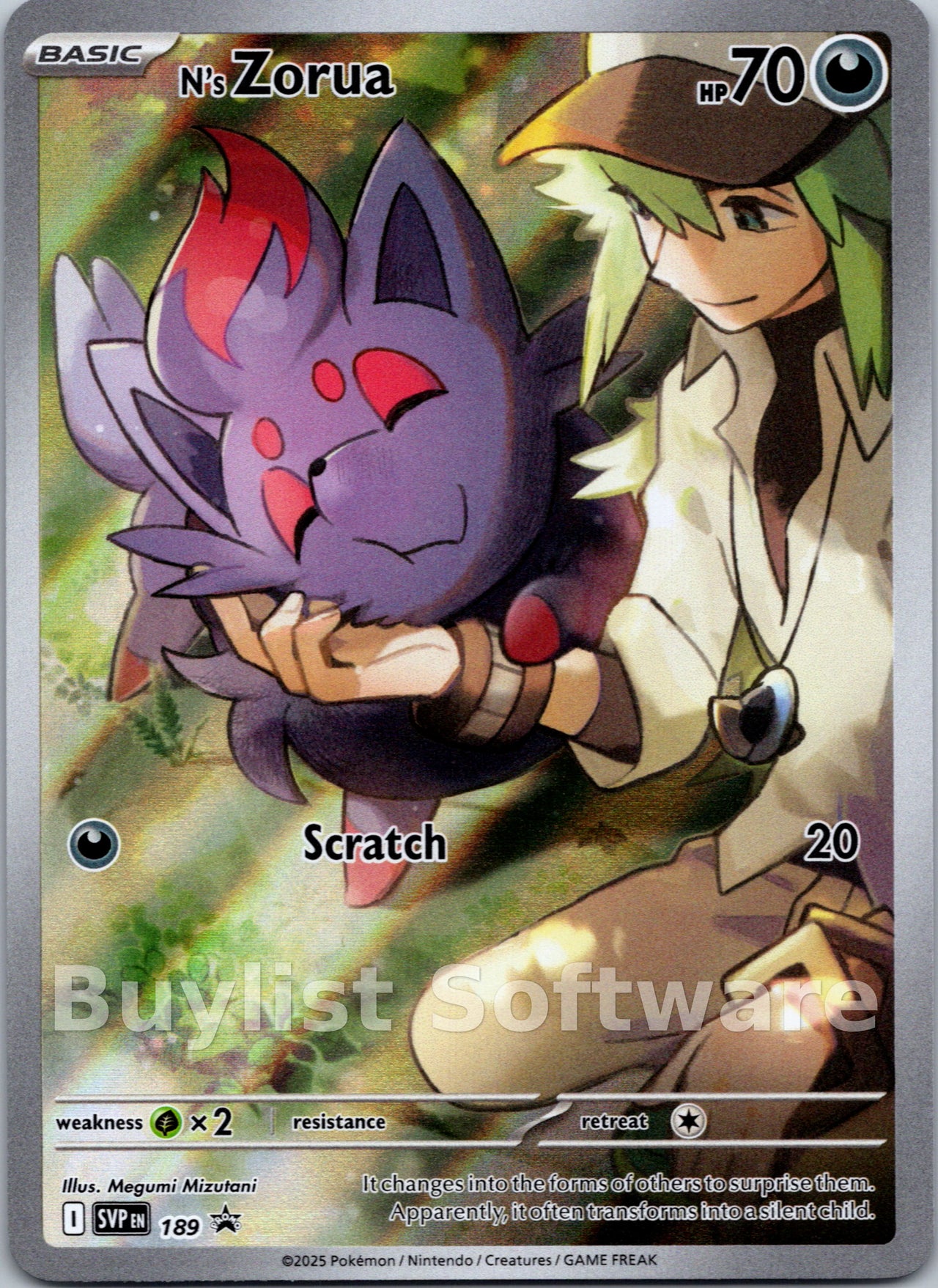N's Zorua