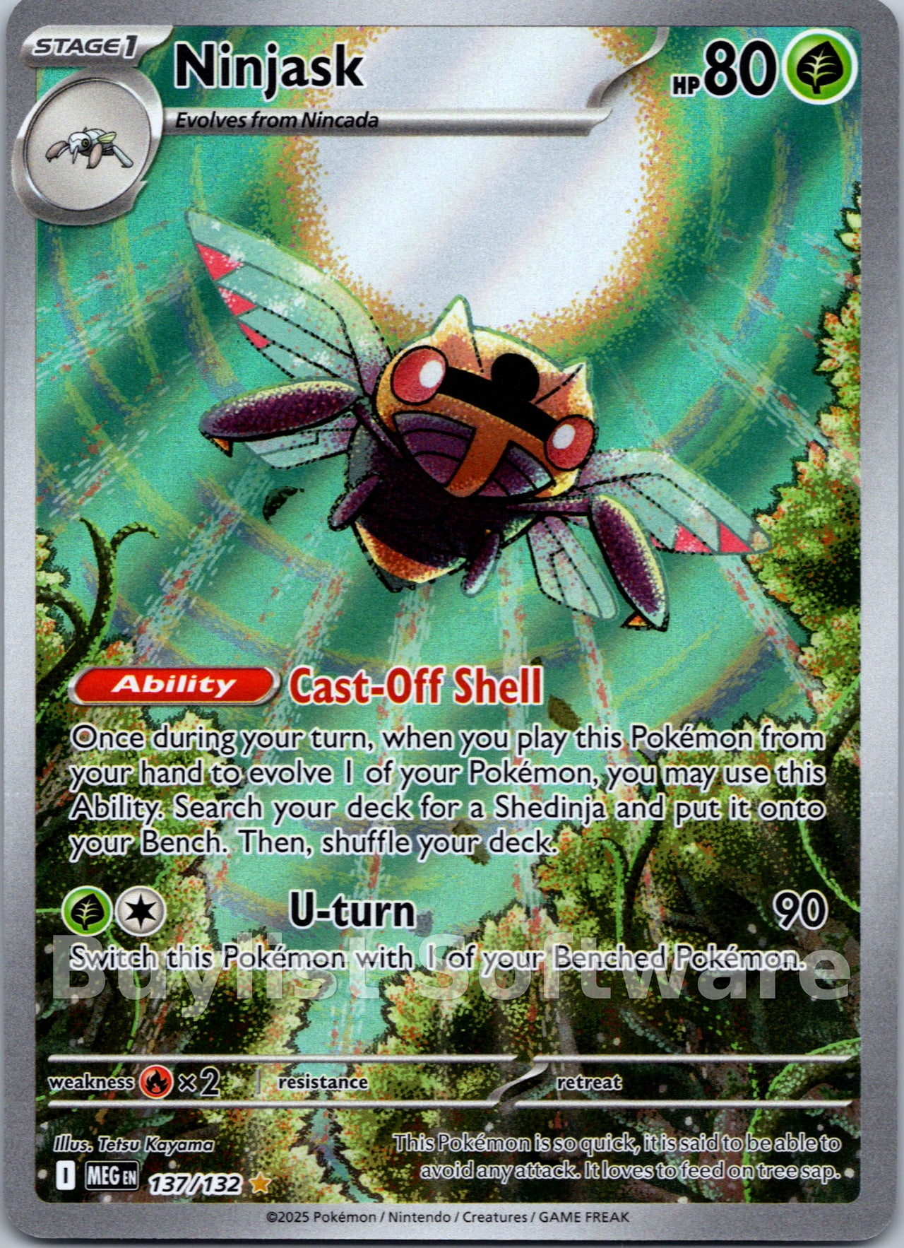Ninjask