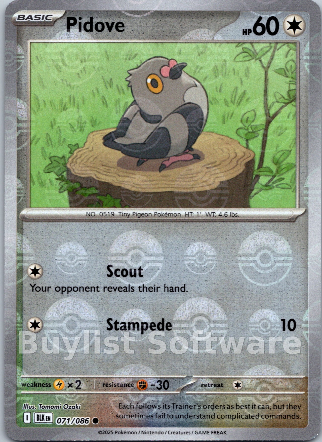 Pidove (Poke Ball Pattern)