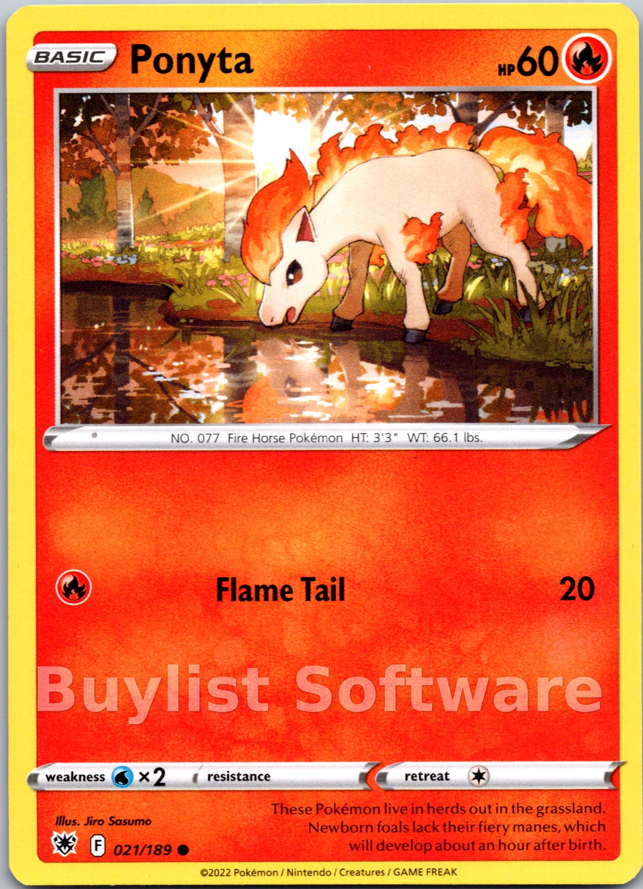 Ponyta