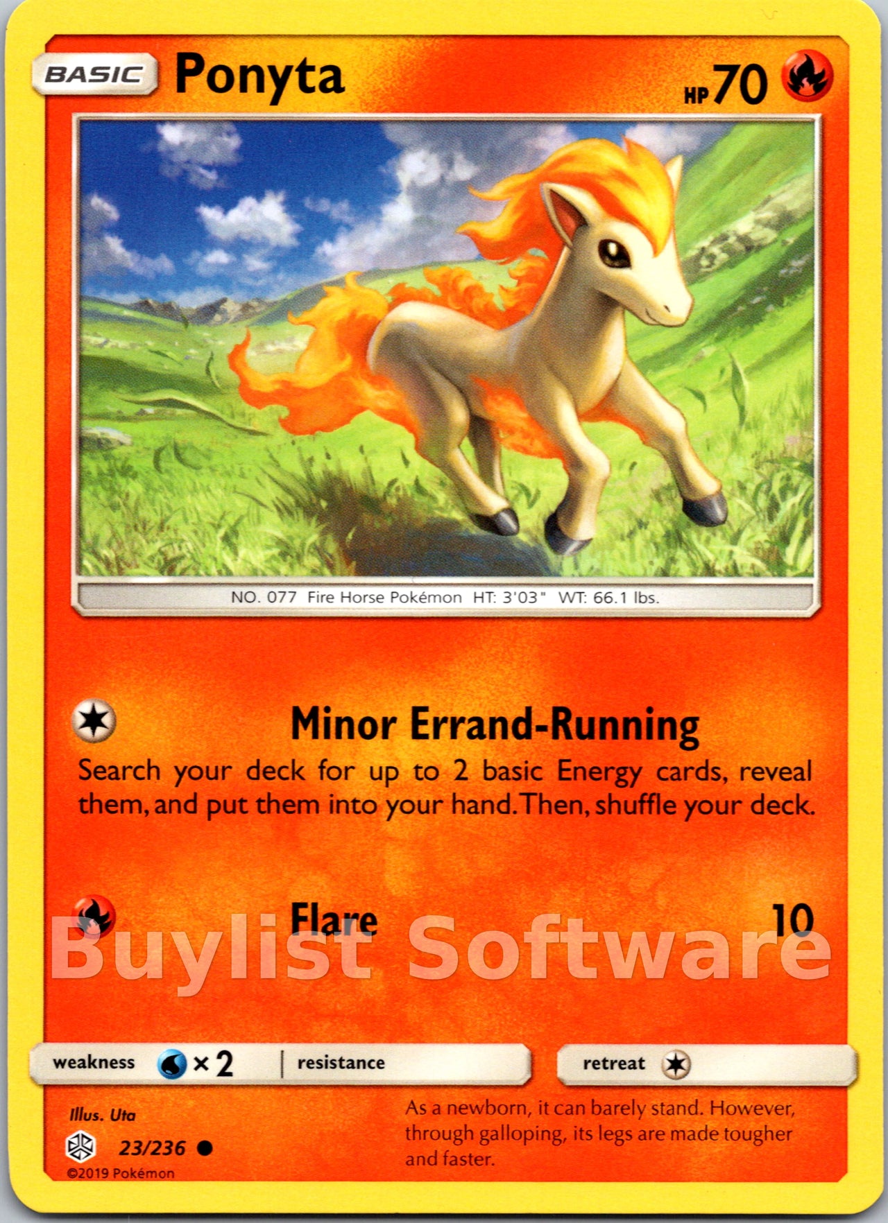 Ponyta
