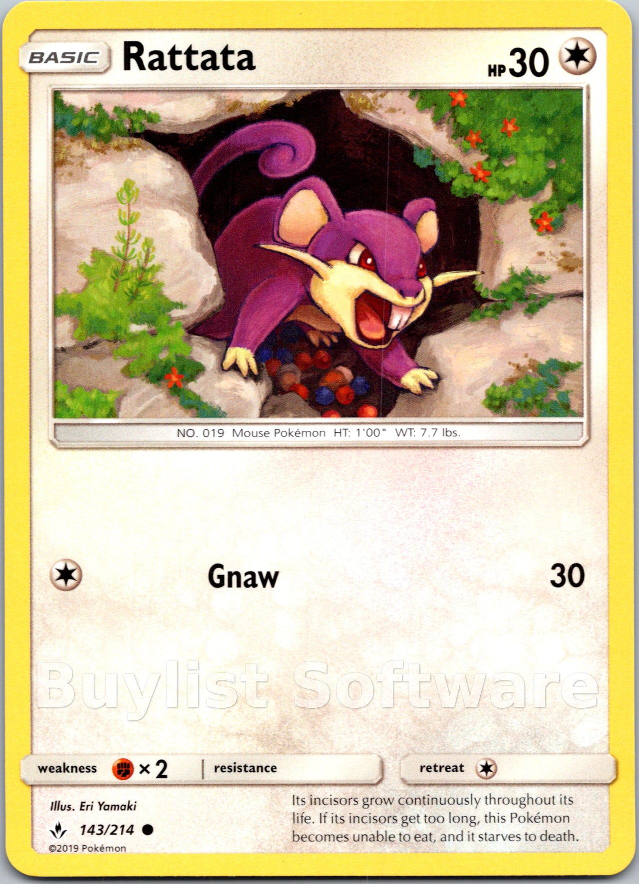 Rattata