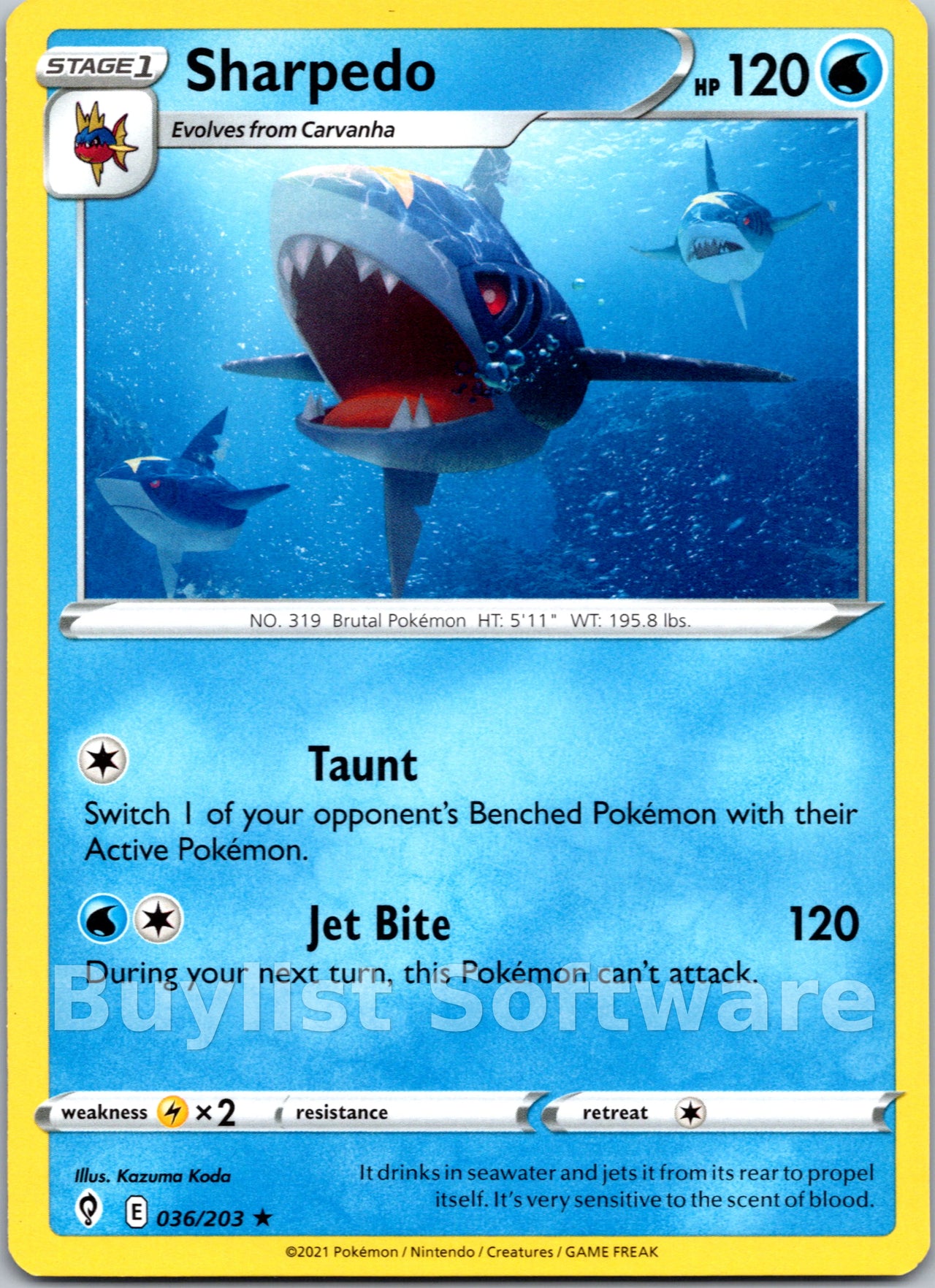 Sharpedo