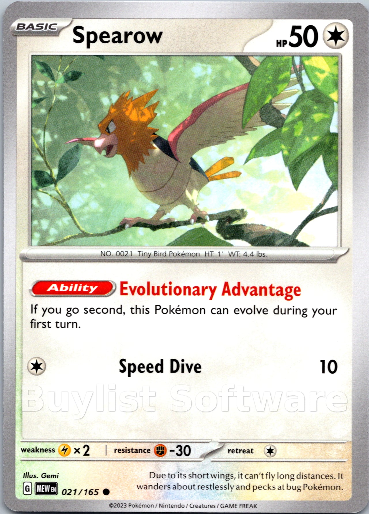 Spearow