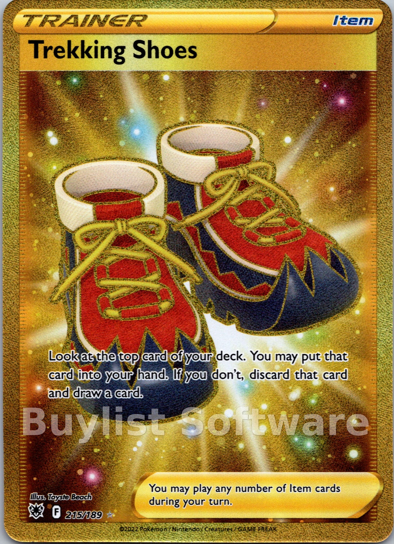 Trekking Shoes