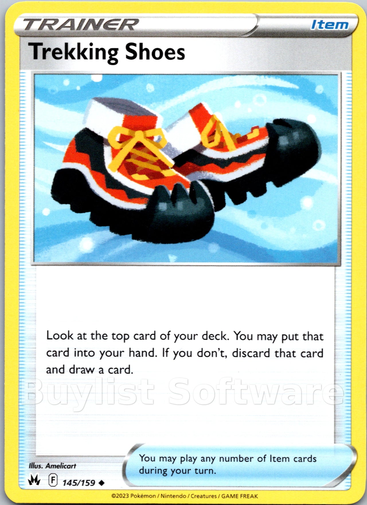 Trekking Shoes