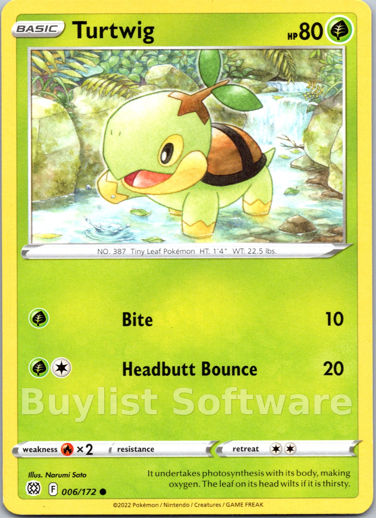 Turtwig