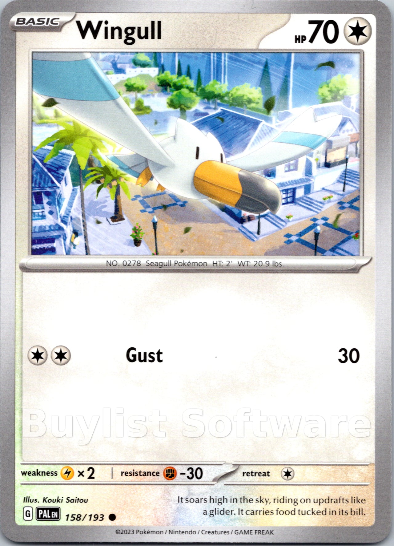 Wingull